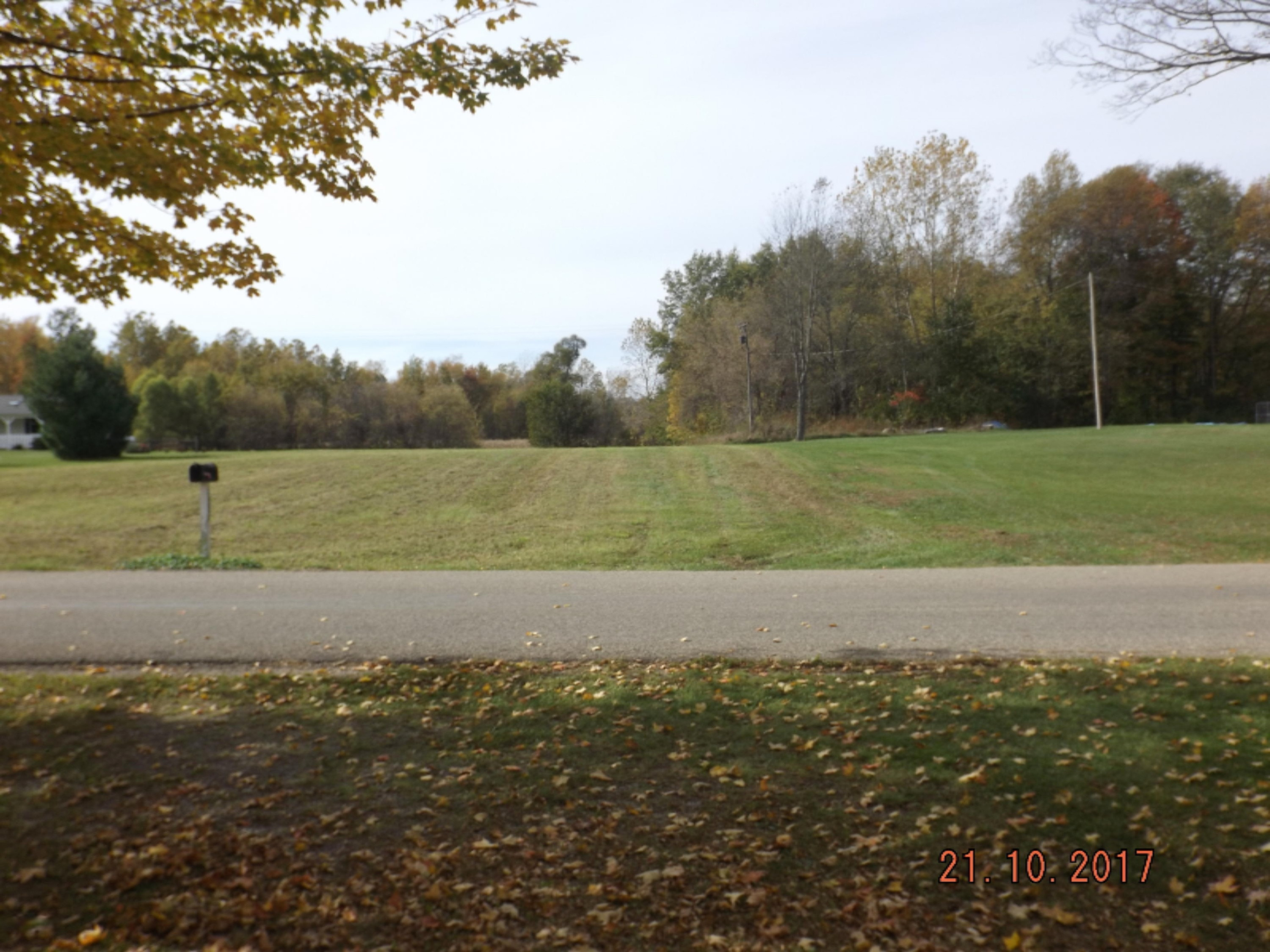 2625 Hemlock Road Quincy, MI 49082 - Photo 26 of 29 Across the road view