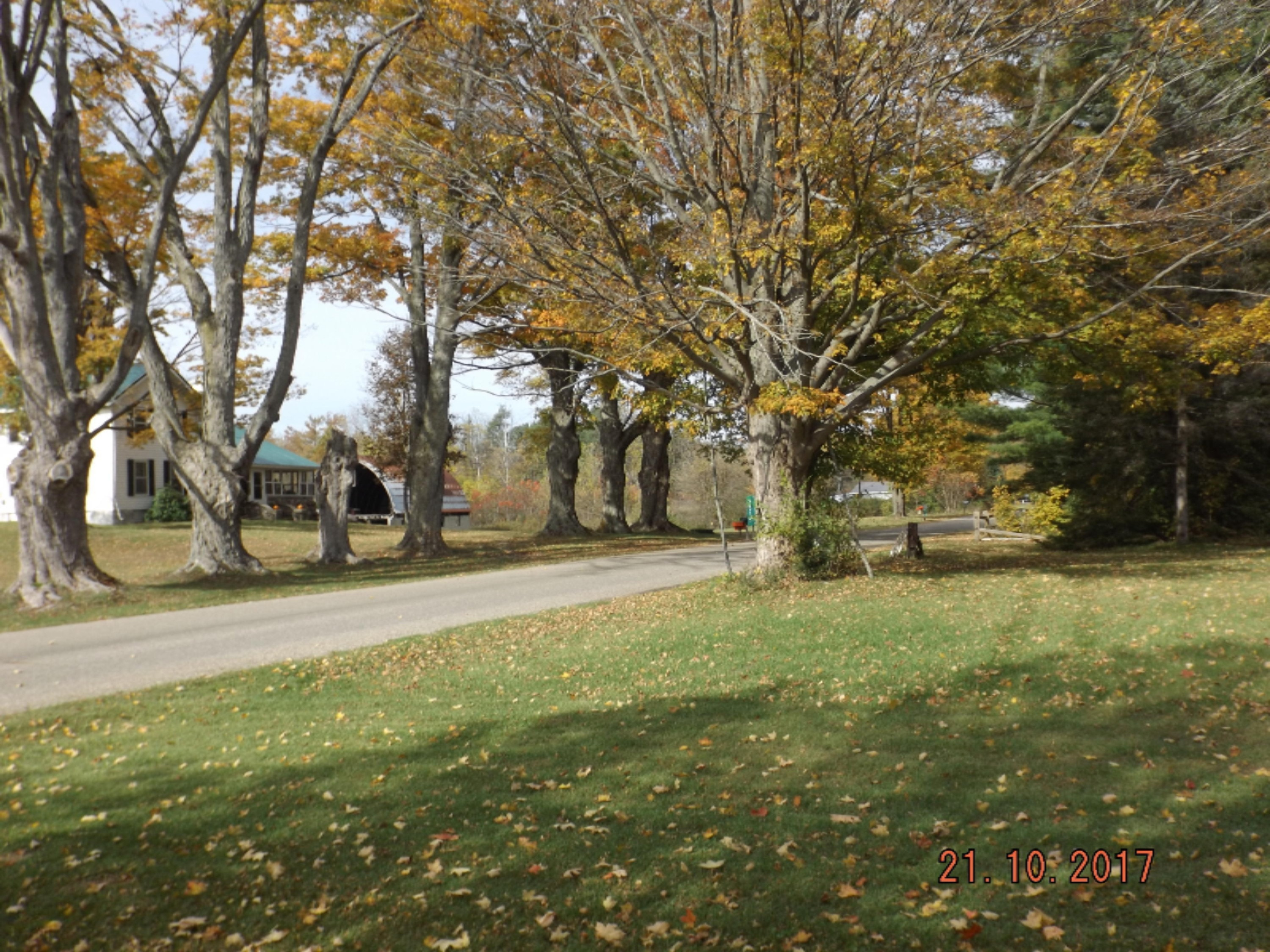 2625 Hemlock Road Quincy, MI 49082 - Photo 28 of 29 North road view