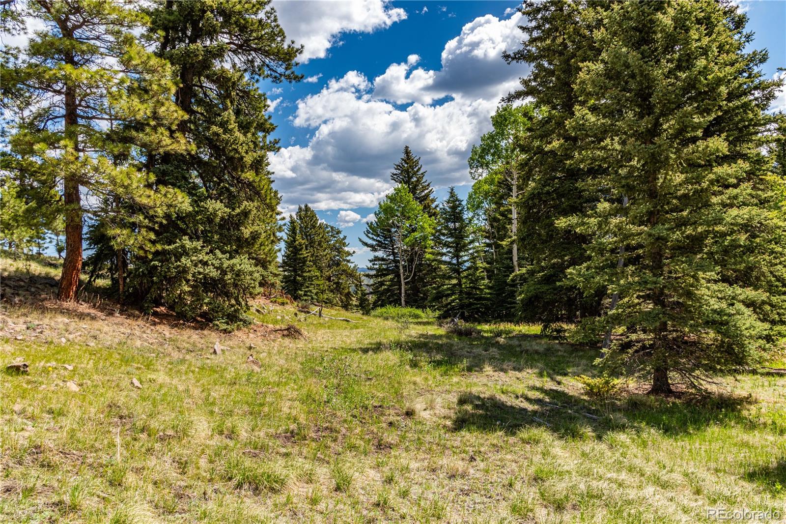 298 Steven Road Canon City, CO 81212 - Photo 25 of 35