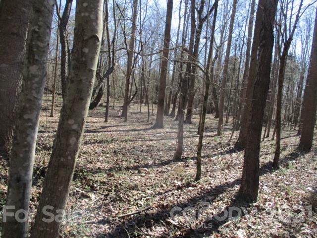 10020 Hambright Road Huntersville, NC 28078 - Photo 1 of 1 Gallery Image 1