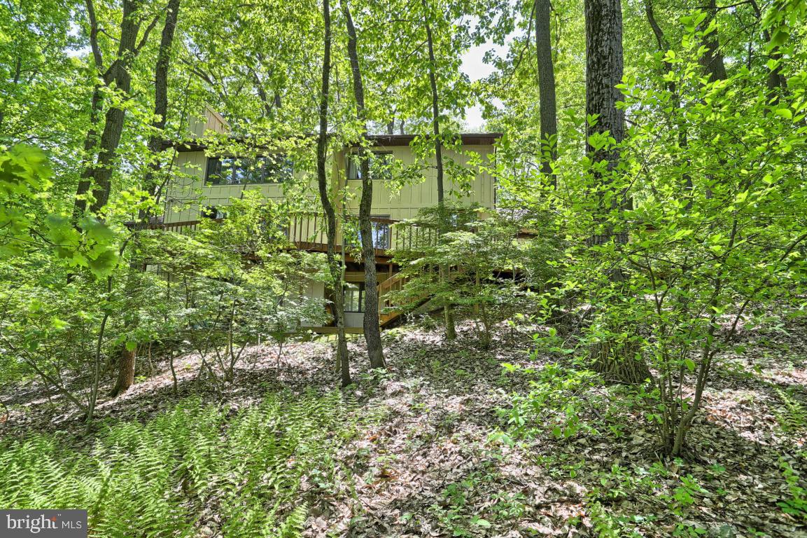 920 Forest Road Lancaster, PA 17601 - Photo 26 of 27 Gallery Image 26