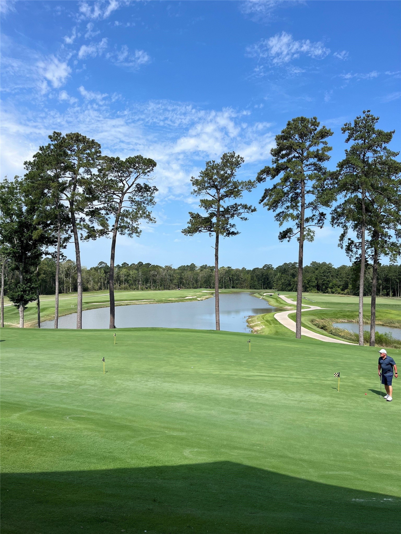 21586 Jordan Pond Ridge Porter, TX 77365 - Photo 4 of 30 Another view of the amazing golf course.
