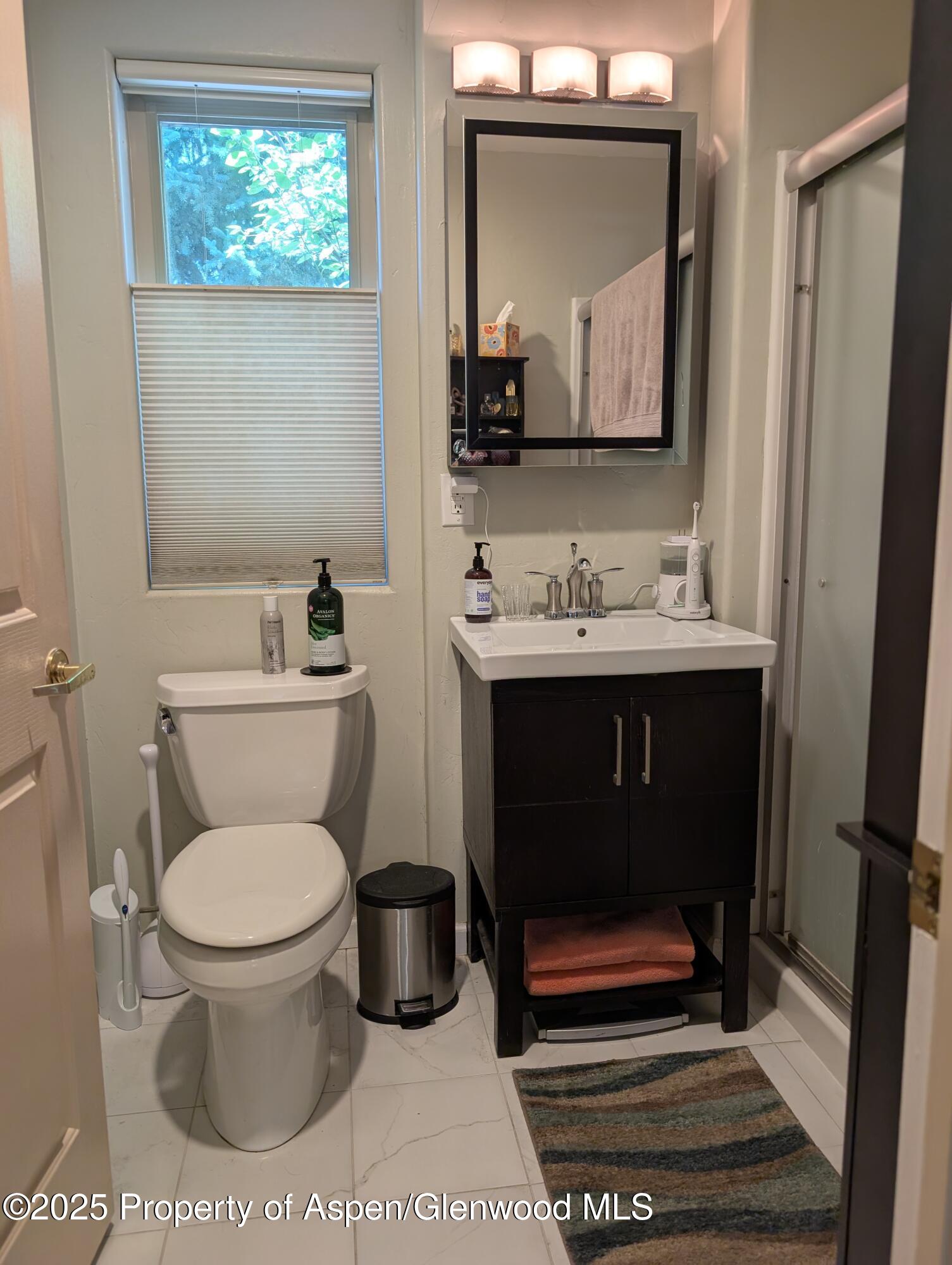 1400 East Valley Road, Unit 7 Basalt, CO 81621 - Photo 6 of 8 a bathroom with a toilet a sink and mirror