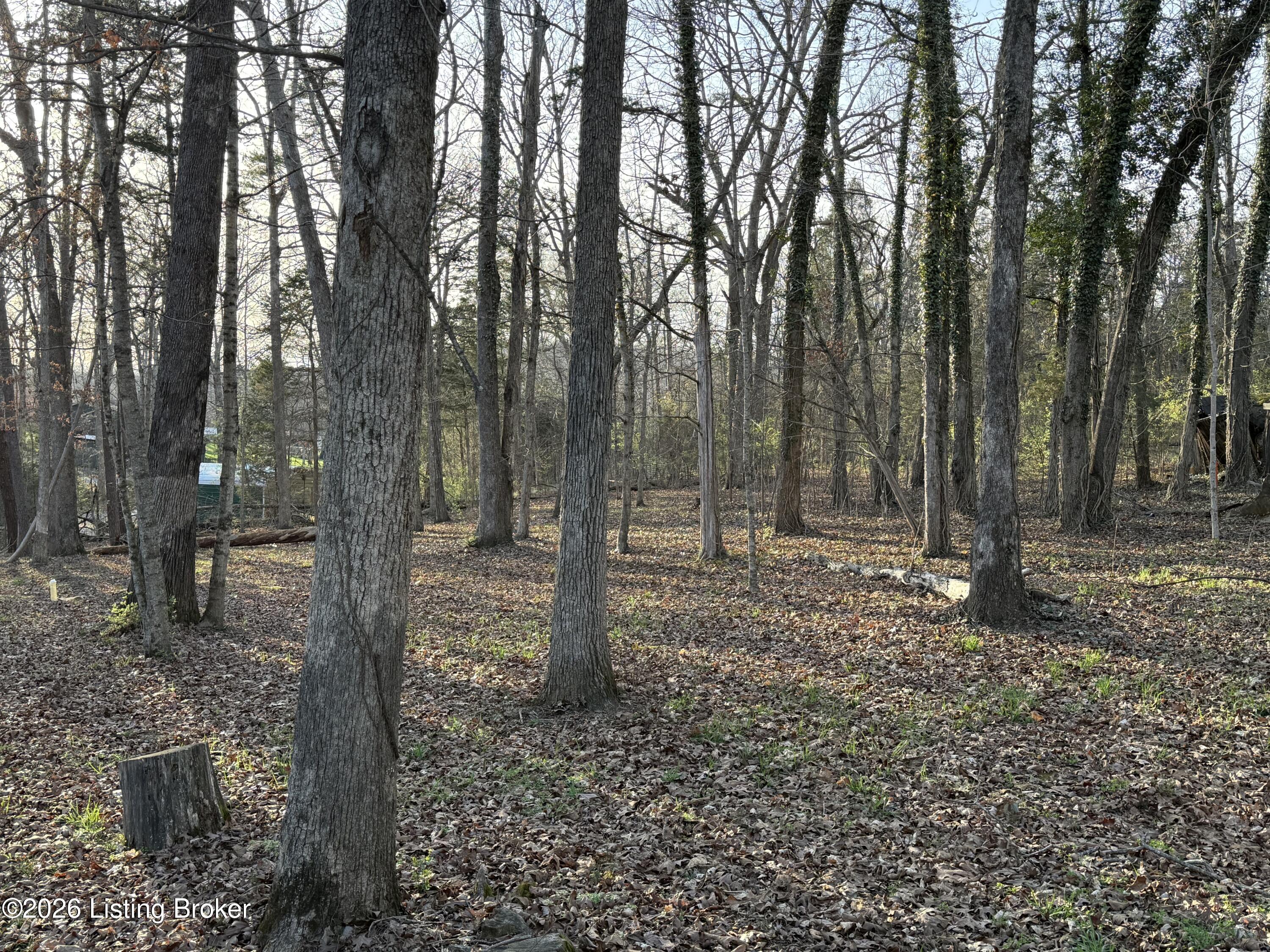 284 Pine Creek Road Shepherdsville, KY 40165 - Photo 12 of 52 284 Pine Creek 12