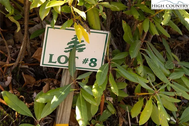 $79,000 | Tbd Lot 8 Tbd Lane, Todd, NC 28684