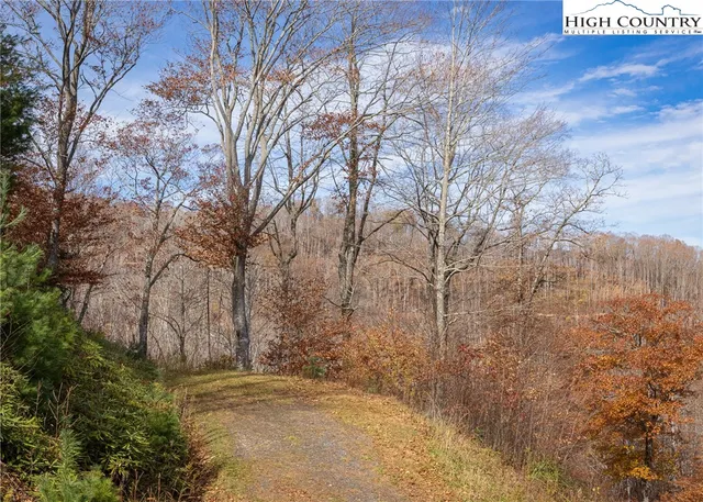 $79,000 | Tbd Lot 8 Tbd Lane, Todd, NC 28684