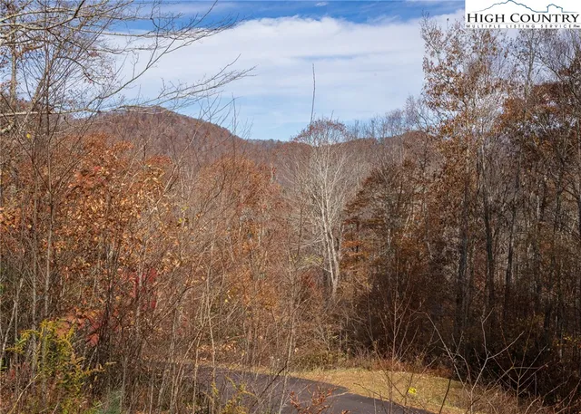 $79,000 | Tbd Lot 8 Tbd Lane, Todd, NC 28684
