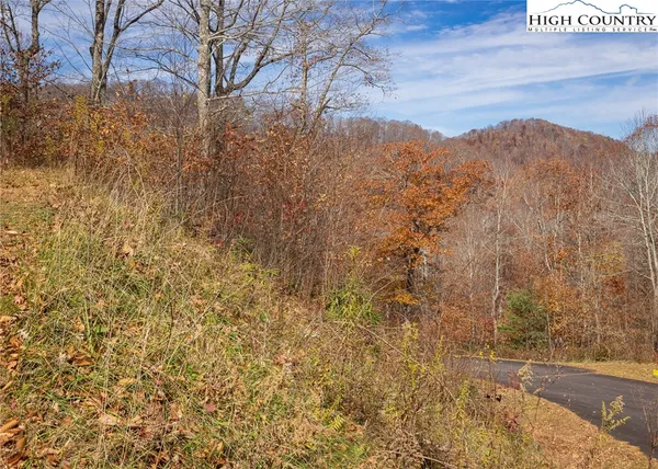 $79,000 | Tbd Lot 8 Tbd Lane, Todd, NC 28684