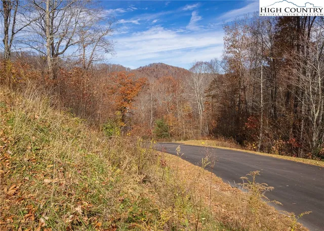 $79,000 | Tbd Lot 8 Tbd Lane, Todd, NC 28684
