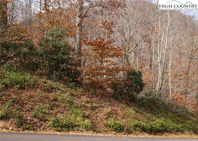 $79,000 | Tbd Lot 8 Tbd Lane, Todd, NC 28684