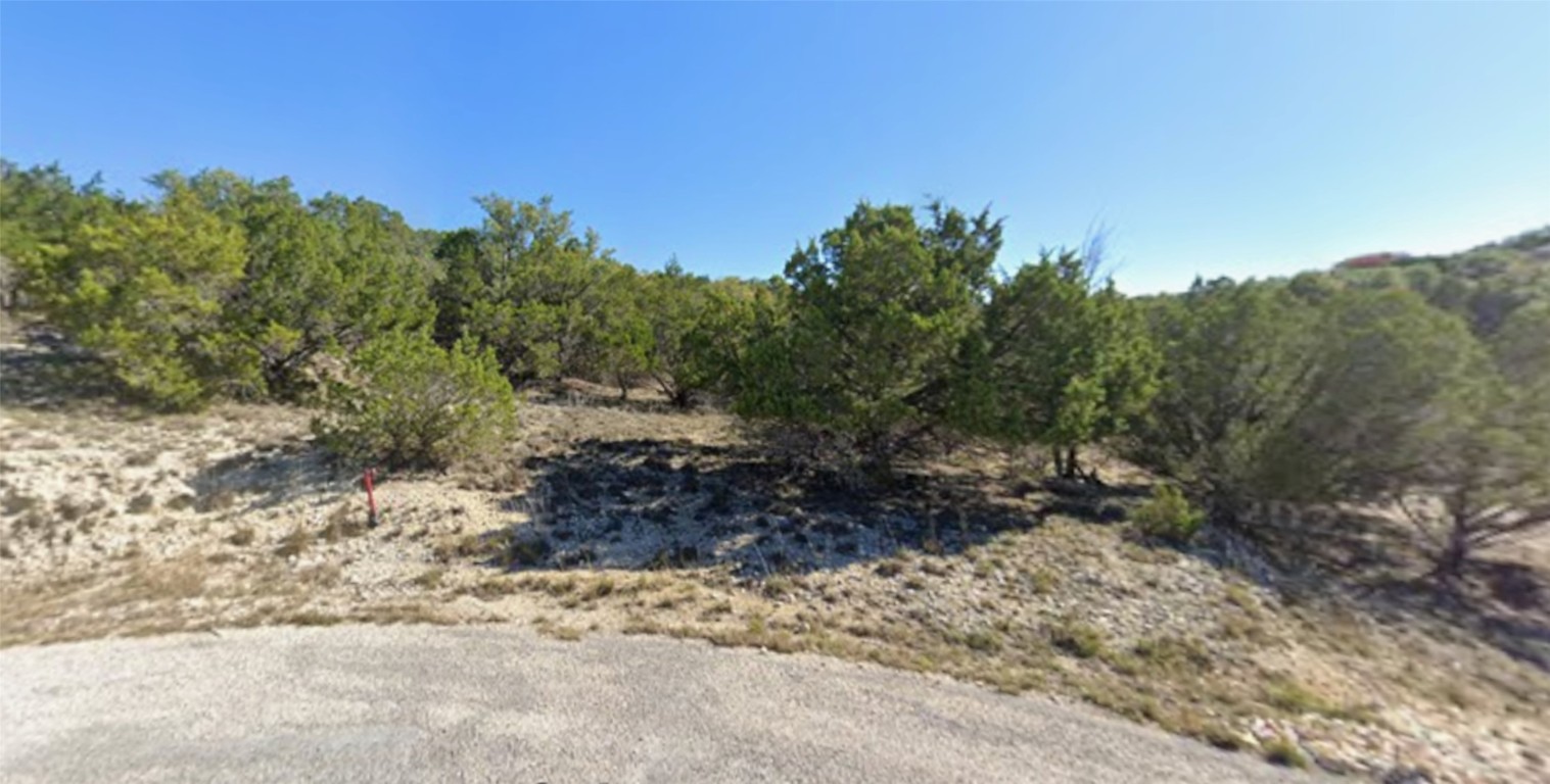 1004 Parton Road Canyon Lake, TX 78133 - Photo 1 of 2 View of undeveloped land