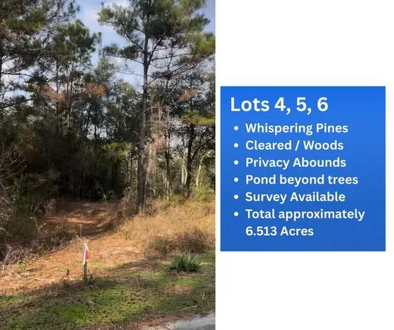 $110,000 | Lot 4-5 Angelena Court, Chipley, FL 32428