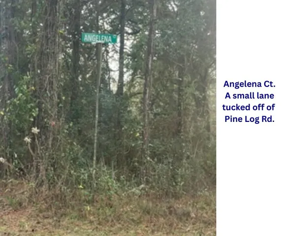 $110,000 | Lot 4-5 Angelena Court, Chipley, FL 32428