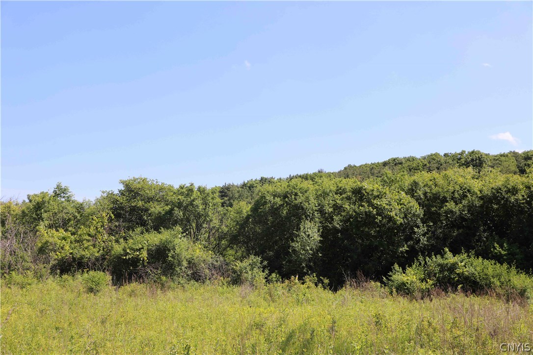 70-acres Cleveland Road Liverpool, NY 13088 - Photo 9 of 16 Gallery Image 9