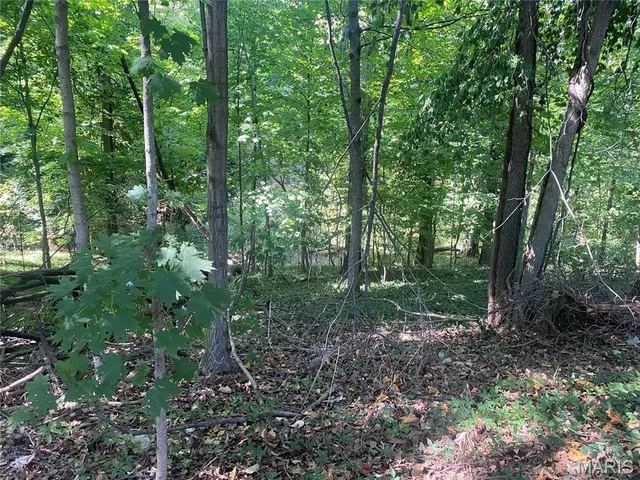 $175,000 | 510 Walnut Street, Greenville, IL 62246