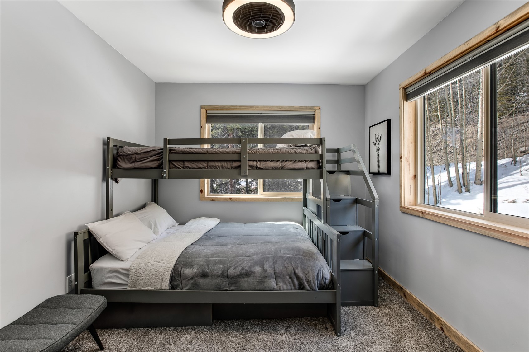 1452 Quartzville Road Alma, CO 80420 - Photo 22 of 49 Gallery Image 22