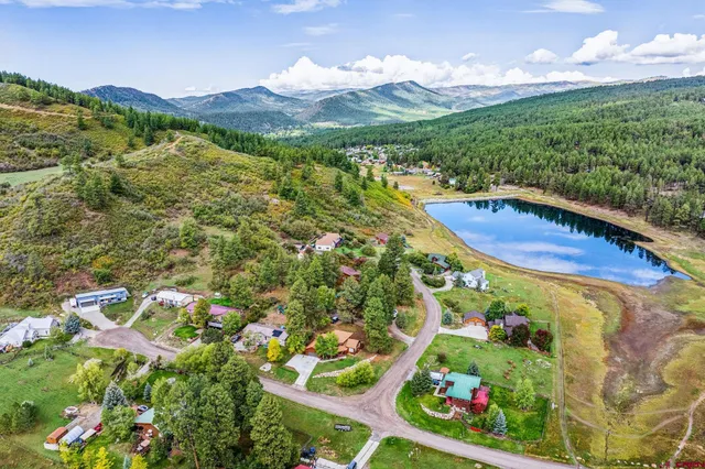 a view of a flower in a garden