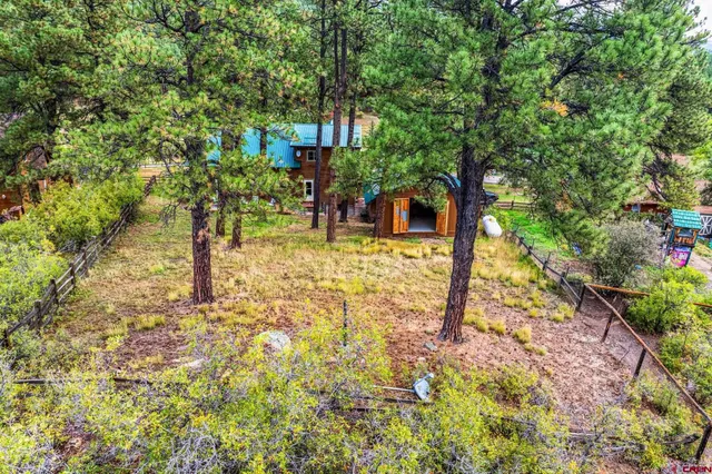 a view of a yard with plants