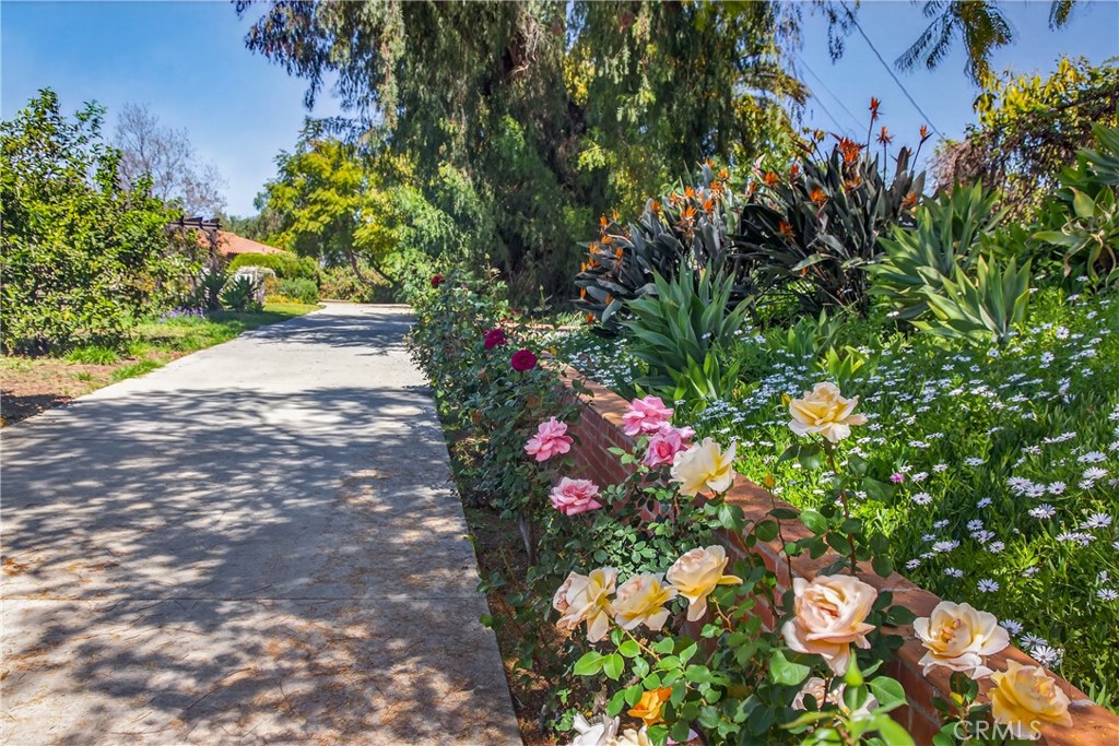 707 Wabash Avenue Redlands, CA 92374 - Photo 44 of 50 a view of a flower