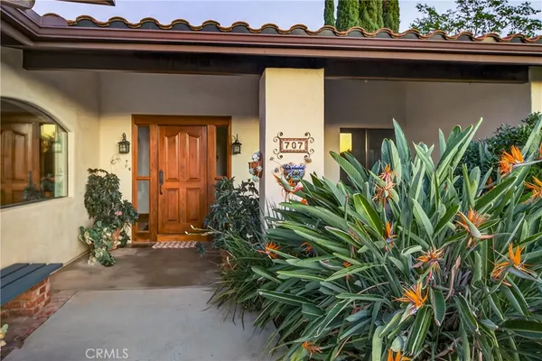 a couple of potted plants in front of a door