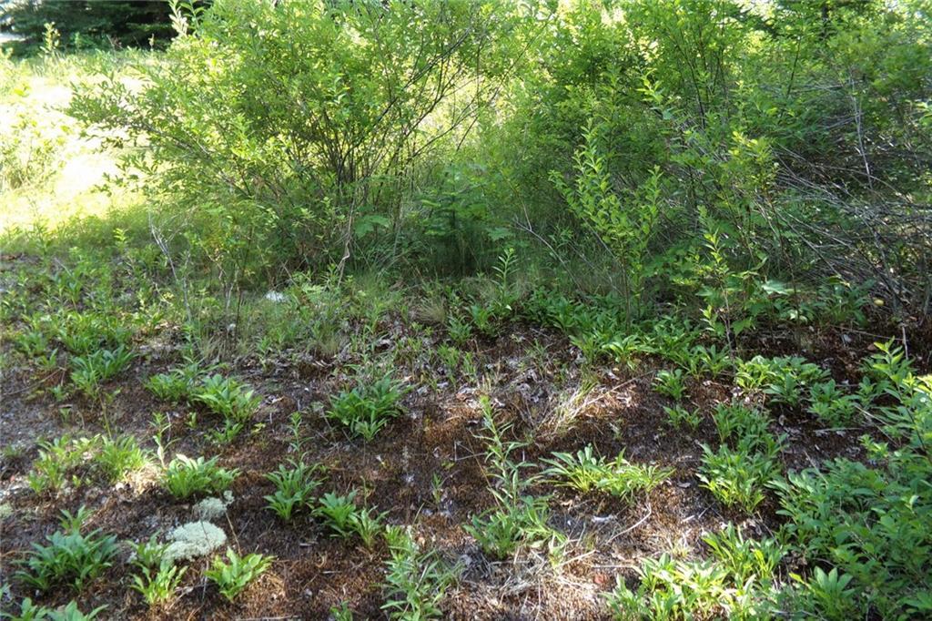 Tbd West Bay Road Gouldsboro, ME 04607 - Photo 10 of 12 Photo