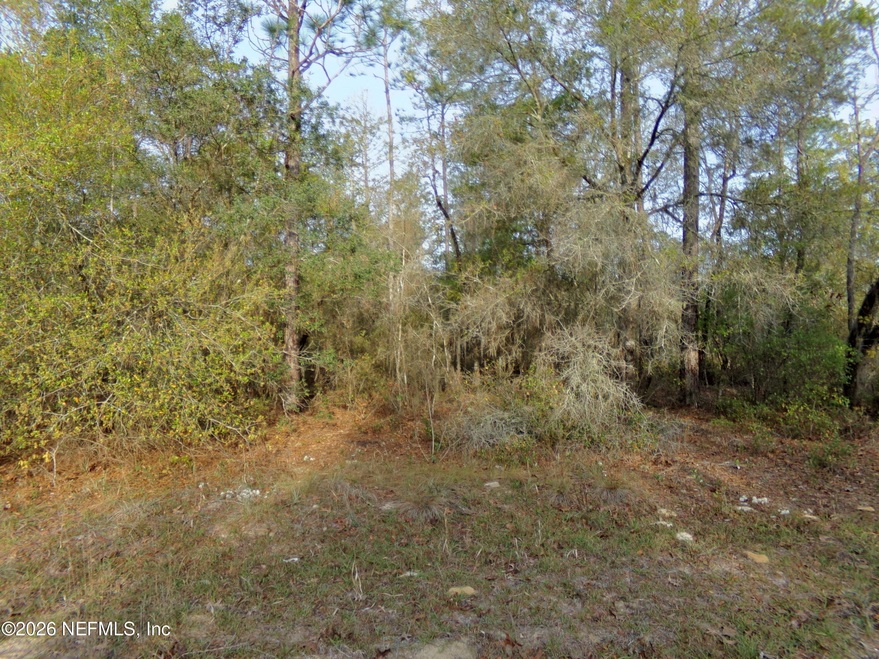 111 Brass Street Interlachen, FL 32148 - Photo 1 of 9 Front of Property