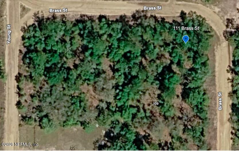 111 Brass Street Interlachen, FL 32148 - Photo 2 of 9 Aerial View