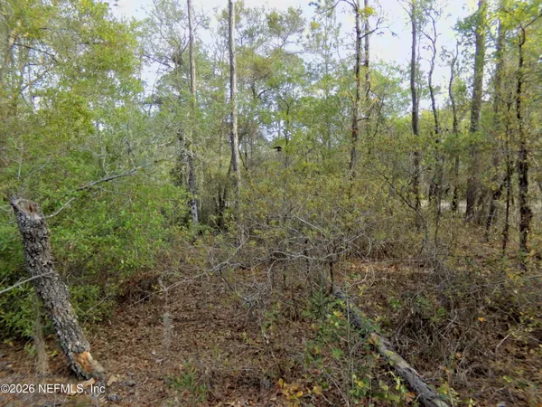 $6,800 | 111 Brass Street, Interlachen, FL 32148