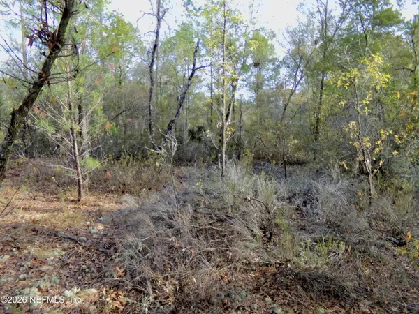 $6,800 | 111 Brass Street, Interlachen, FL 32148