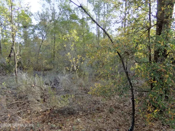 $6,800 | 111 Brass Street, Interlachen, FL 32148