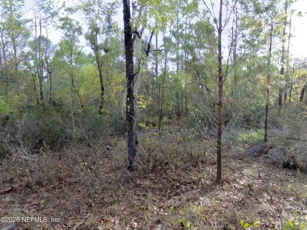 $6,800 | 111 Brass Street, Interlachen, FL 32148