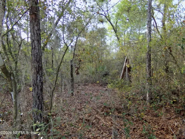 $6,800 | 111 Brass Street, Interlachen, FL 32148