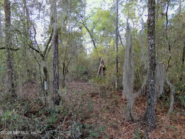 $6,800 | 111 Brass Street, Interlachen, FL 32148