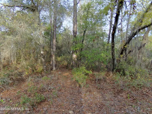 $6,800 | 111 Brass Street, Interlachen, FL 32148