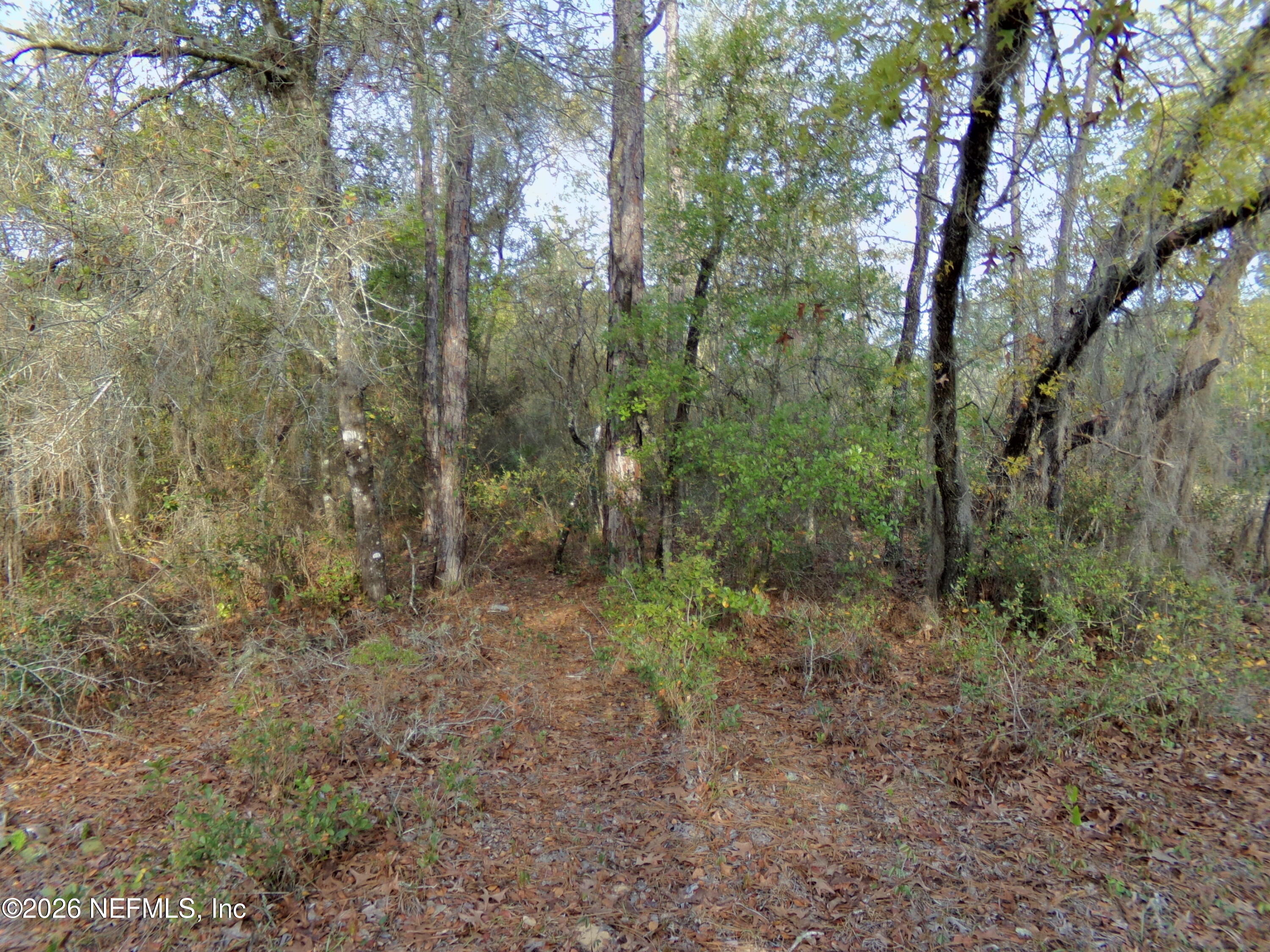 111 Brass Street Interlachen, FL 32148 - Photo 9 of 9 100_0348