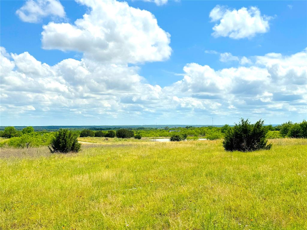 2091 Fm-52 Perrin, TX 76486 - Photo 6 of 23