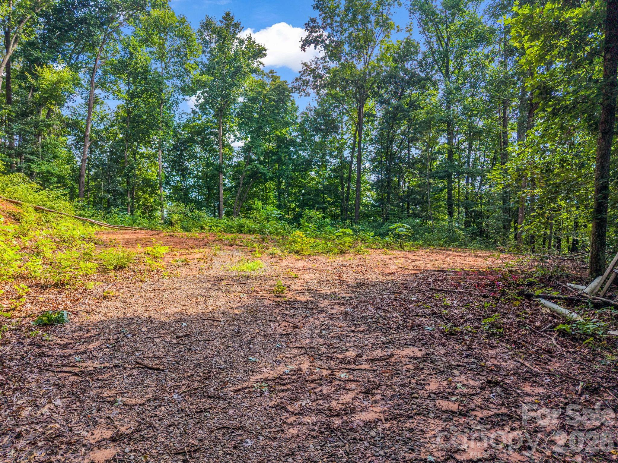 0 Patton Cove Road, Unit 6 Swannanoa, NC 28778 - Photo 1 of 31