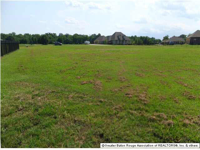 Tbd Buddy Gore Road Gonzales, LA 70737 - Photo 3 of 4 Gallery Image 3