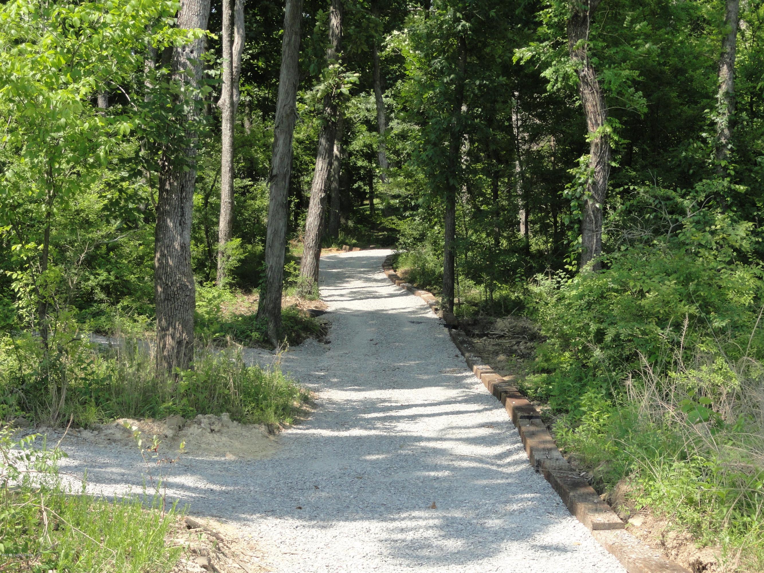 307 Lake Side Road Clarkson, KY 42726 - Photo 20 of 25 Nice new path to dock area.