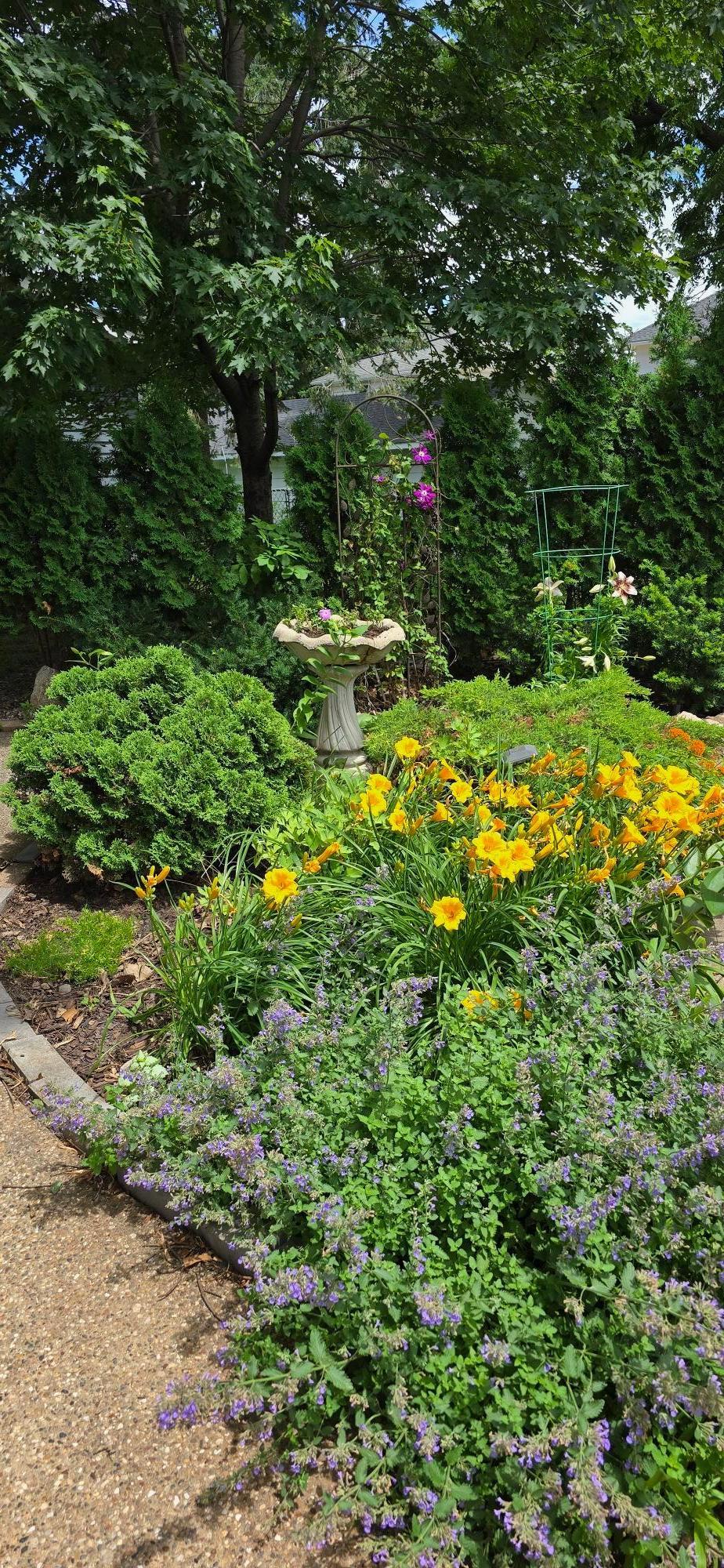 309 5th Street Southwest Austin, MN 55912 - Photo 70 of 76