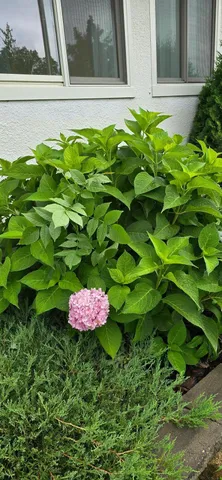 $242,000 | 309 5th Street Southwest, Austin, MN 55912