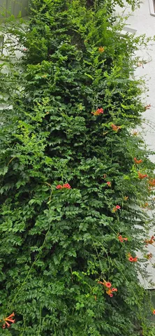 $242,000 | 309 5th Street Southwest, Austin, MN 55912