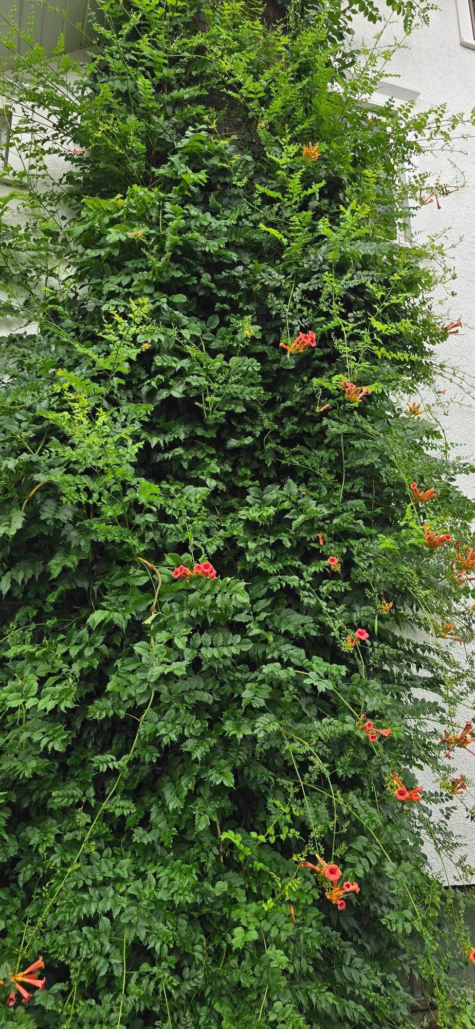 309 5th Street Southwest Austin, MN 55912 - Photo 9 of 76