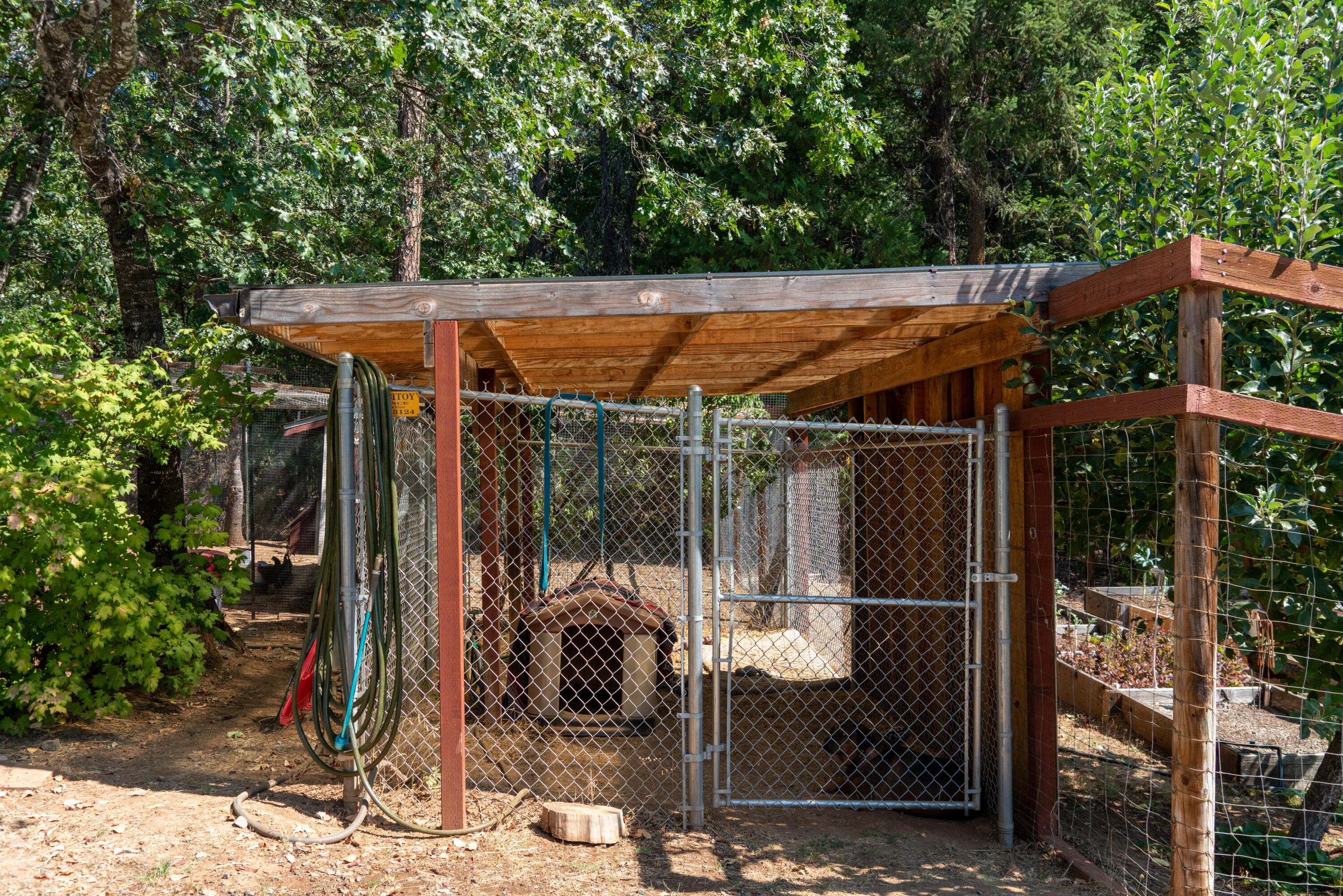 4179 Ditch Creek Road Rogue River, OR 97537 - Photo 49 of 50 Dog kennel