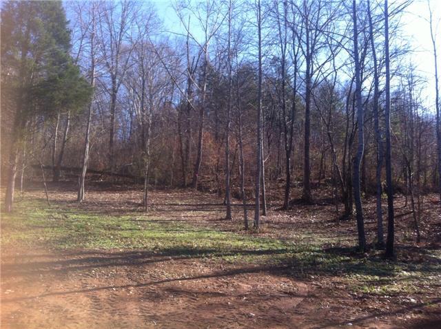 5 Chisolm Creek Road Lawrenceburg, TN 38464 - Photo 9 of 19 Gallery Image 9