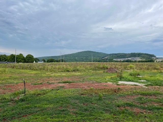 174 Slagtown Road Cowan, TN 37318 - Photo 8 of 11 Gallery Image 8