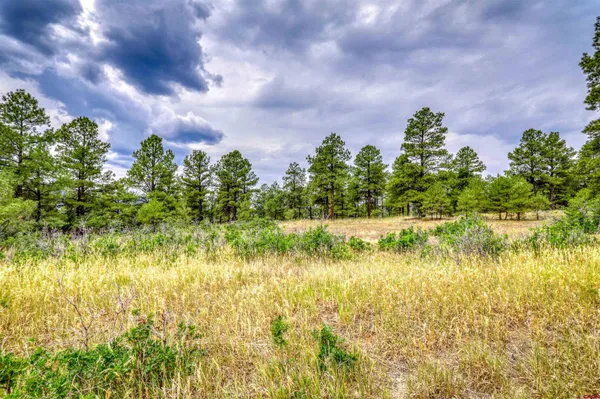 $500,000 | 478-445 Bonanza Avenue, Pagosa Springs, CO 81147