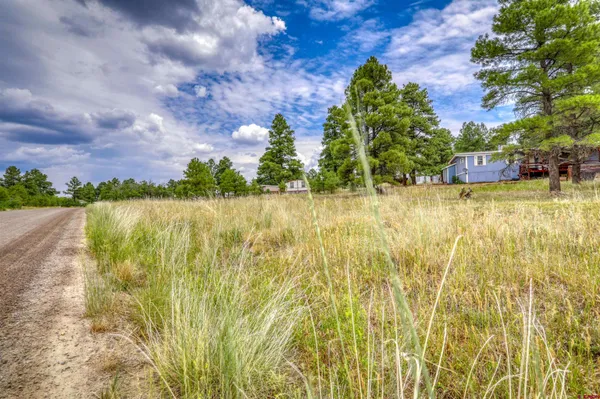 $500,000 | 478-445 Bonanza Avenue, Pagosa Springs, CO 81147