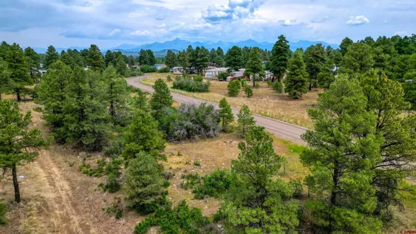 an aerial view of a house with a yard and lake view