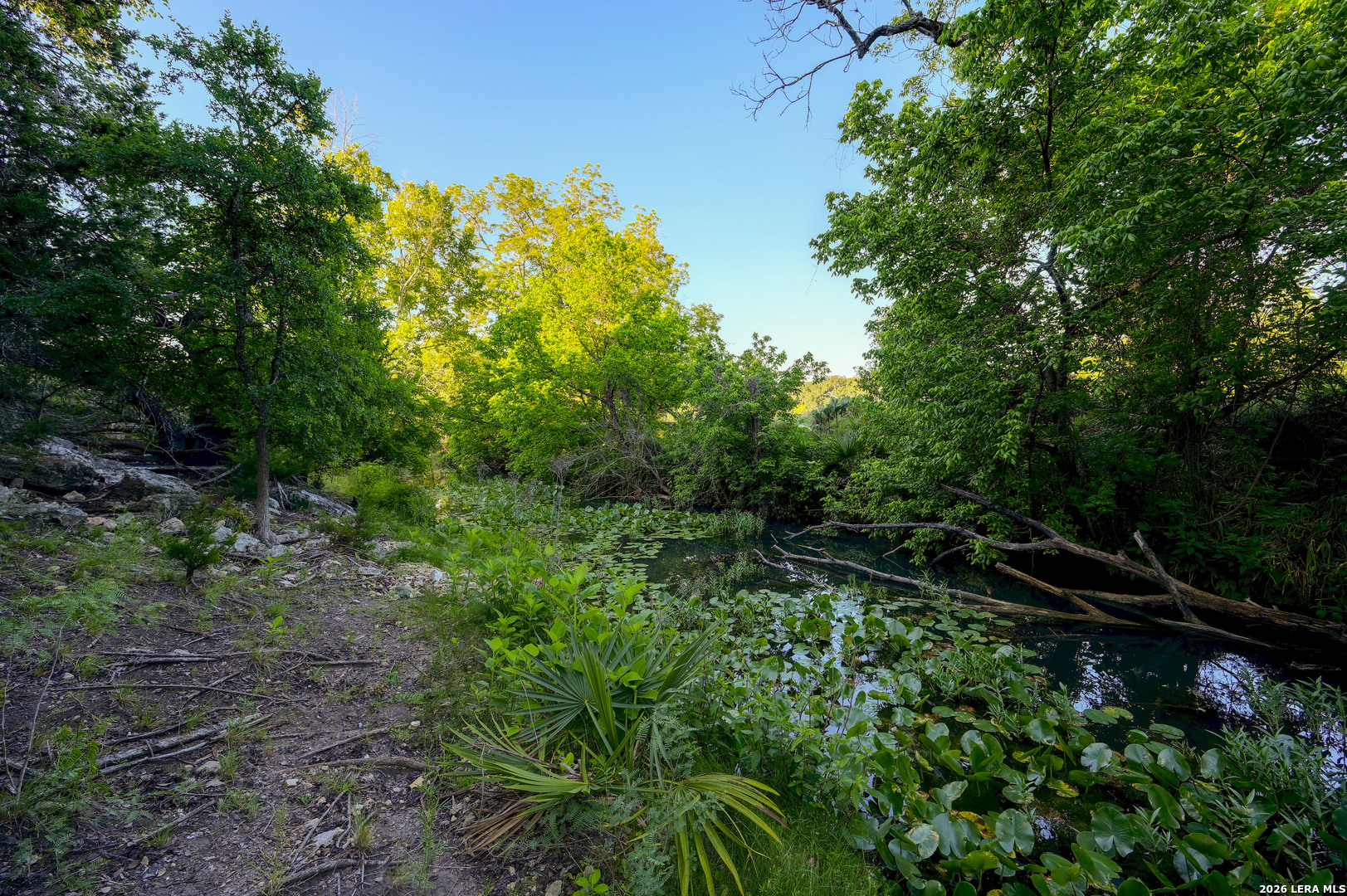315 Rittimann Road Spring Branch, TX 78070 - Photo 40 of 51